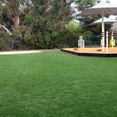 Artificial Turf Cost Oakdale, California Indoor Playground