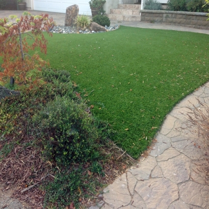 Artificial Turf Cost Salida, California Landscaping, Backyard Makeover