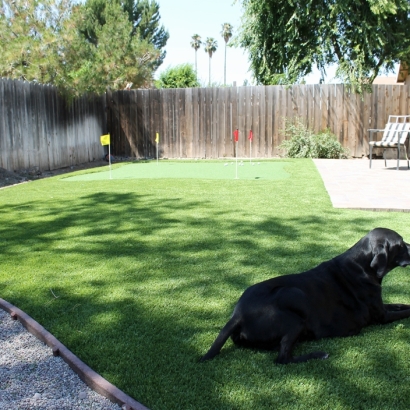 Artificial Turf Cost Shackelford, California Dogs, Grass for Dogs