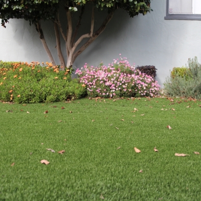 Artificial Turf East Oakdale, California Landscape Design, Front Yard Landscaping Ideas