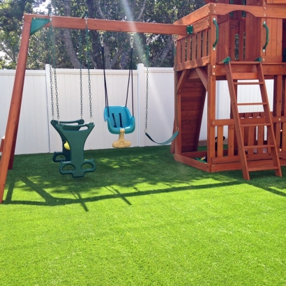 Artificial Turf Installation Newman, California Lawn And Garden, Backyard Landscape Ideas