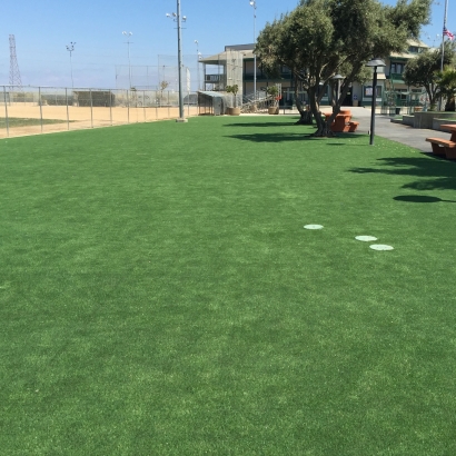 Artificial Turf Oakdale, California Roof Top, Recreational Areas