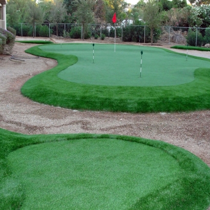 Artificial Turf Salida, California Indoor Putting Green, Small Backyard Ideas