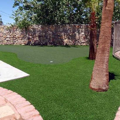 Best Artificial Grass Bret Harte, California Gardeners, Backyard Designs