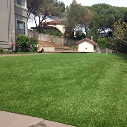 Best Artificial Grass Del Rio, California Best Indoor Putting Green, Backyard Garden Ideas