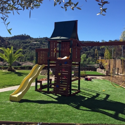 Best Artificial Grass Waterford, California Rooftop