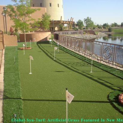 Fake Grass Bret Harte, California Garden Ideas, Backyards