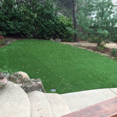 Fake Grass Carpet Bystrom, California Landscape Design, Backyard Makeover