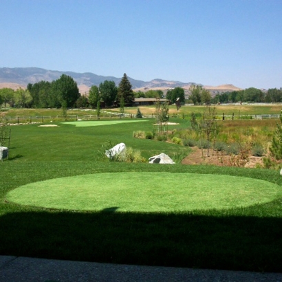 Fake Grass Carpet Grayson, California Paver Patio, Backyard Designs