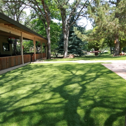 Fake Grass Carpet Riverbank, California Lawns, Backyard Design