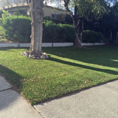 Fake Grass Carpet Salida, California City Landscape, Front Yard