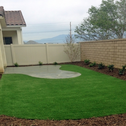 Fake Grass Grayson, California Design Ideas, Beautiful Backyards