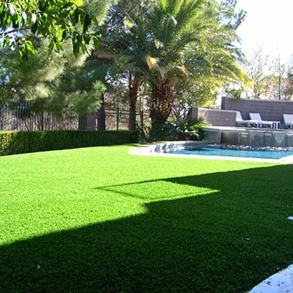 Fake Grass Grayson, California Landscaping Business, Backyard Design