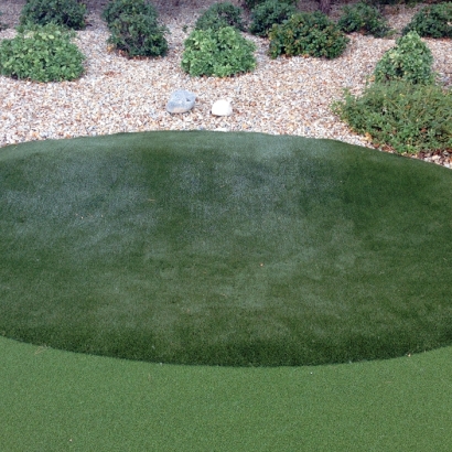 Fake Grass Hickman, California How To Build A Putting Green