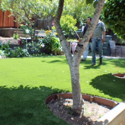 Fake Grass West Modesto, California Backyard Deck Ideas, Backyard Ideas