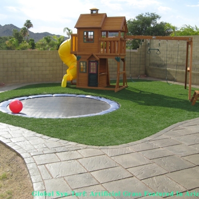 Fake Grass Westley, California Backyard Playground, Backyard Designs