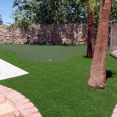 Fake Lawn Ceres, California Indoor Putting Green, Backyard Makeover