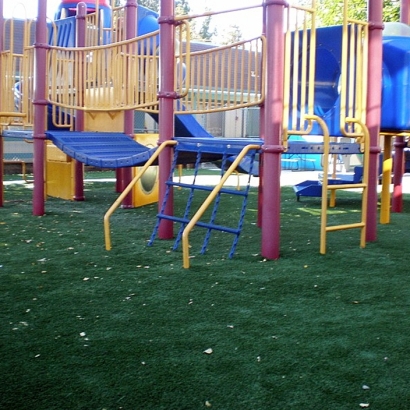 Faux Grass Bret Harte, California Roof Top, Commercial Landscape