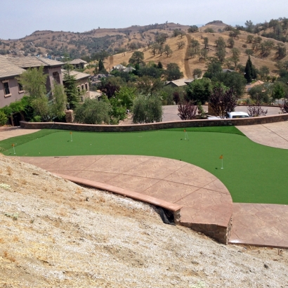 Faux Grass Hughson, California Indoor Putting Greens, Backyard Landscaping