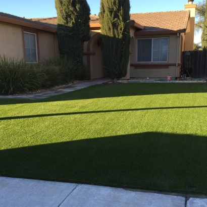 Faux Grass Newman, California Roof Top, Front Yard Landscape Ideas