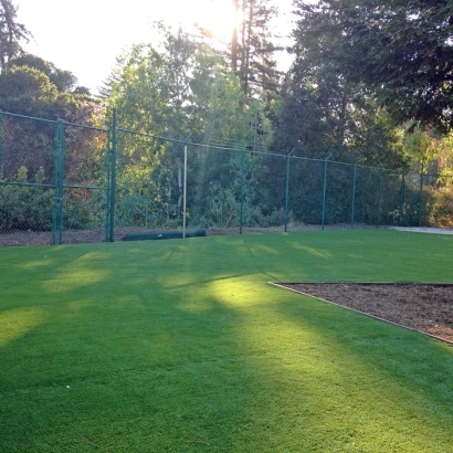 Faux Grass Patterson, California Garden Ideas, Recreational Areas