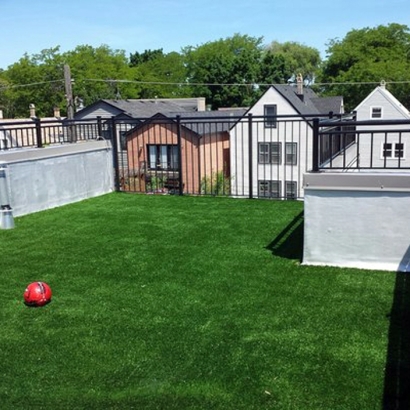 Faux Grass Shackelford, California Backyard Deck Ideas, Roof Top