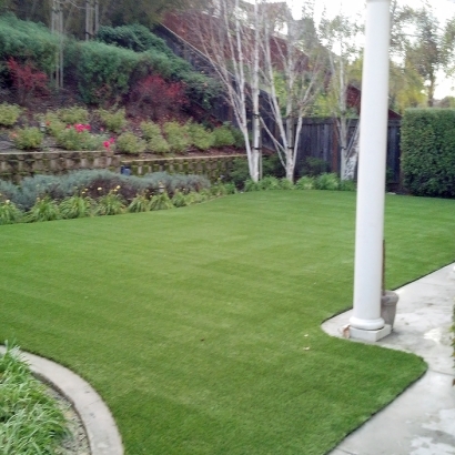 Grass Carpet Ceres, California Design Ideas, Backyard Ideas