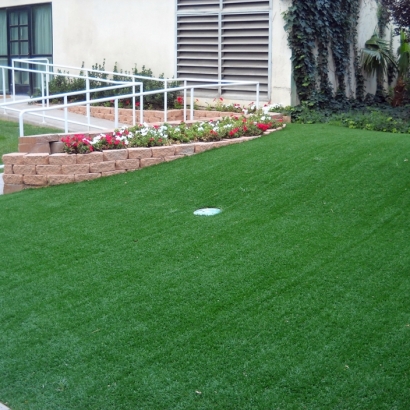 Grass Carpet Hughson, California Landscape Photos, Small Front Yard Landscaping