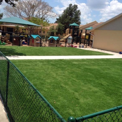 Grass Carpet Patterson, California Playground, Commercial Landscape