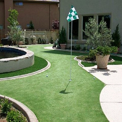 Grass Carpet Turlock, California Diy Putting Green, Backyard Landscaping Ideas
