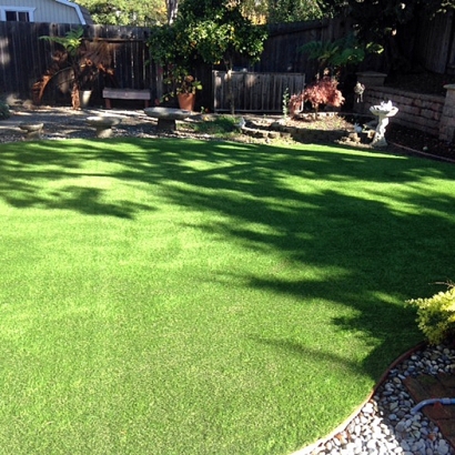 Grass Carpet West Modesto, California Pet Paradise, Beautiful Backyards