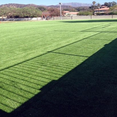 Grass Carpet Westley, California Lawn And Landscape