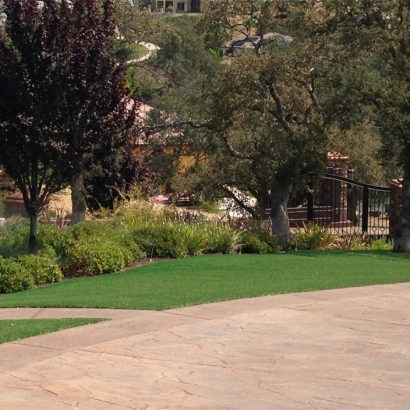 Grass Installation Hickman, California Lawn And Garden, Small Backyard Ideas