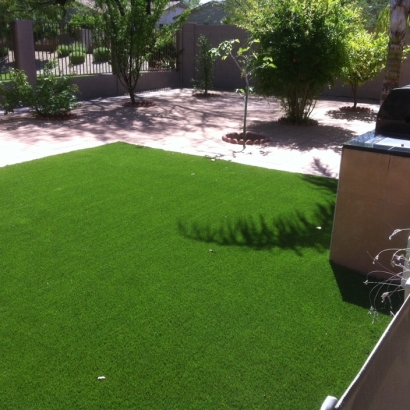 Grass Turf Denair, California Grass For Dogs, Backyard