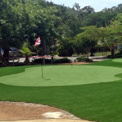 Grass Turf Denair, California Putting Green Flags, Front Yard Ideas