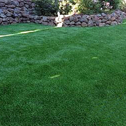 Grass Turf East Oakdale, California Dogs, Backyard Landscape Ideas
