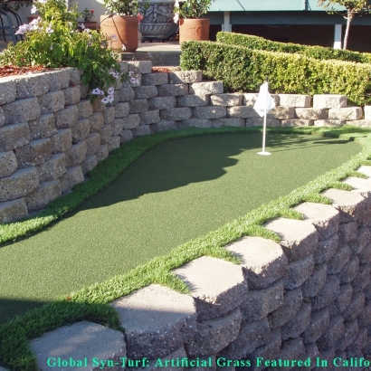 Grass Turf Riverdale Park, California Gardeners, Backyard Ideas