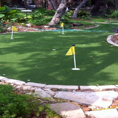Grass Turf Shackelford, California Landscape Design, Backyard Garden Ideas