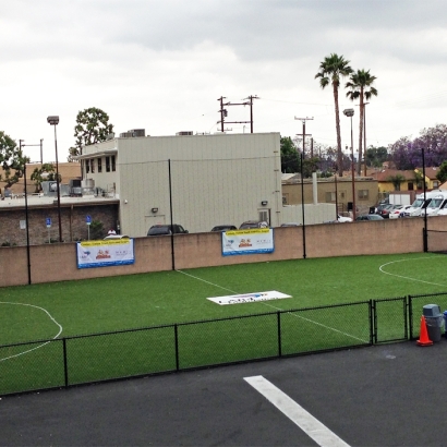 Grass Turf Westley, California Stadium, Commercial Landscape
