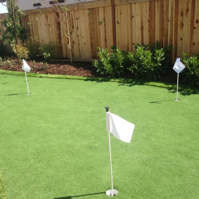Green Lawn Valley Home, California Best Indoor Putting Green, Backyard Landscaping Ideas