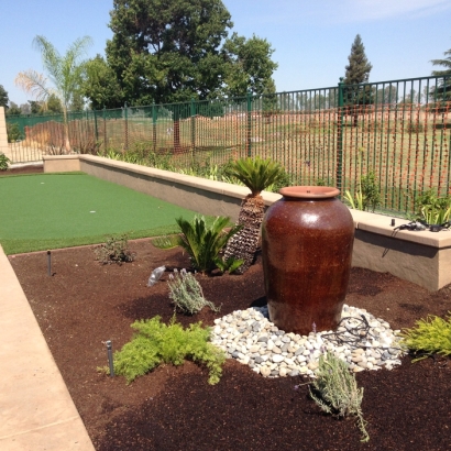 Lawn Services Bystrom, California Best Indoor Putting Green, Small Backyard Ideas