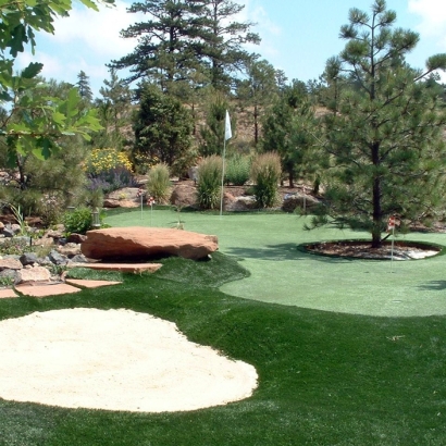 Lawn Services Newman, California Putting Green Turf, Small Backyard Ideas