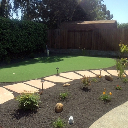 Lawn Services Shackelford, California Artificial Putting Greens, Backyard Designs