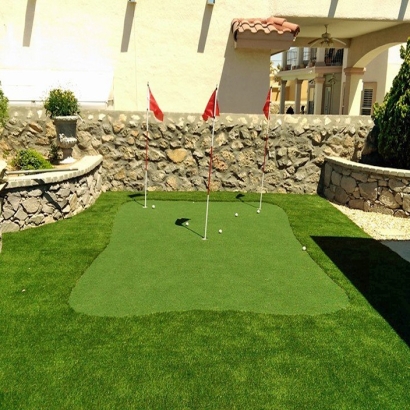 Outdoor Carpet Bret Harte, California Lawn And Garden, Backyard Designs