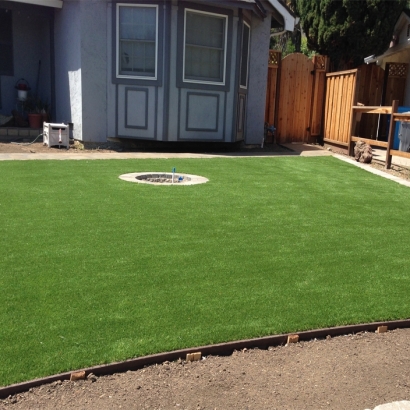 Outdoor Carpet Crows Landing, California Design Ideas, Backyard Landscape Ideas