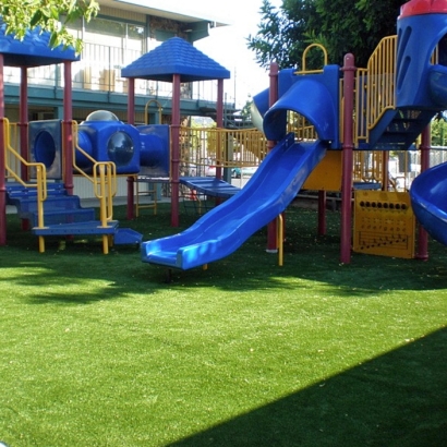 Outdoor Carpet Denair, California Rooftop, Commercial Landscape