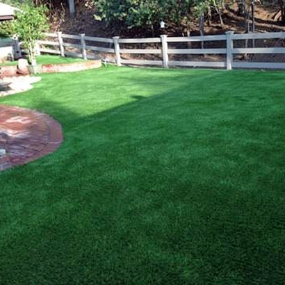 Outdoor Carpet Hickman, California Watch Dogs, Small Backyard Ideas