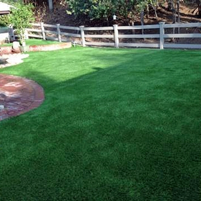 Outdoor Carpet Hickman, California Watch Dogs, Small Backyard Ideas