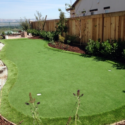 Outdoor Carpet Hughson, California Outdoor Putting Green, Backyard