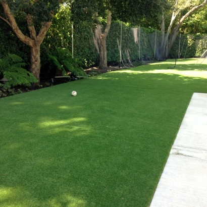 Plastic Grass Bret Harte, California Landscape Ideas